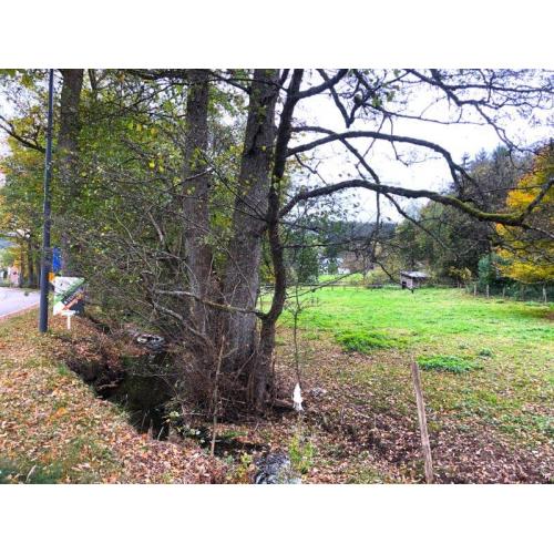 BASSE-BODEUX (Trois-Ponts): Bouwgrond – VAS1418