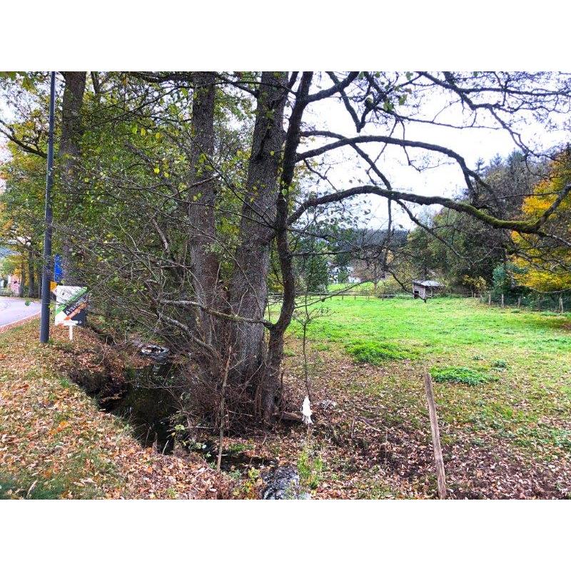 BASSE-BODEUX (Trois-Ponts): Bouwgrond – VAS1418