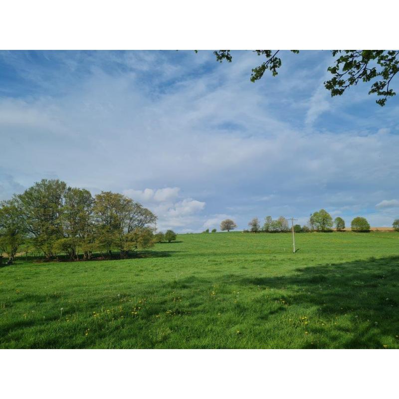LORCY (Saint-Hubert): Grote en mooie bouwgrond (1ha7a69ca) – VAS1430