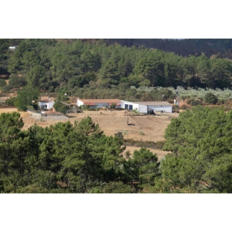 Rustieke woon-vakantieboerderij, B&B-Camping-Paarden-campers SPANJE EXTREMADURA