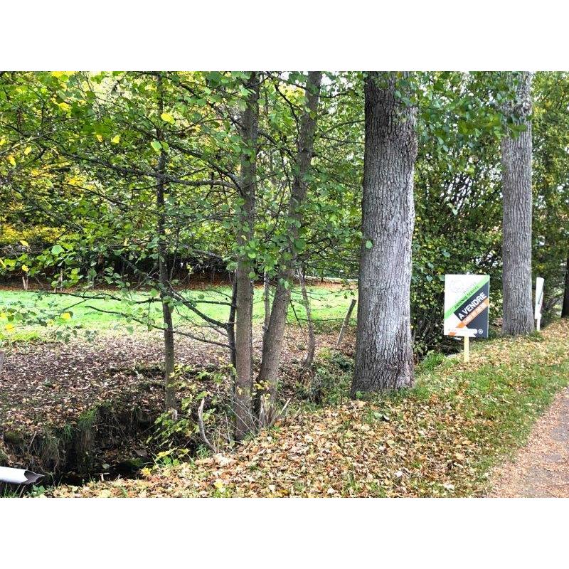 BASSE-BODEUX (Trois-Ponts): Bouwgrond – VAS1418