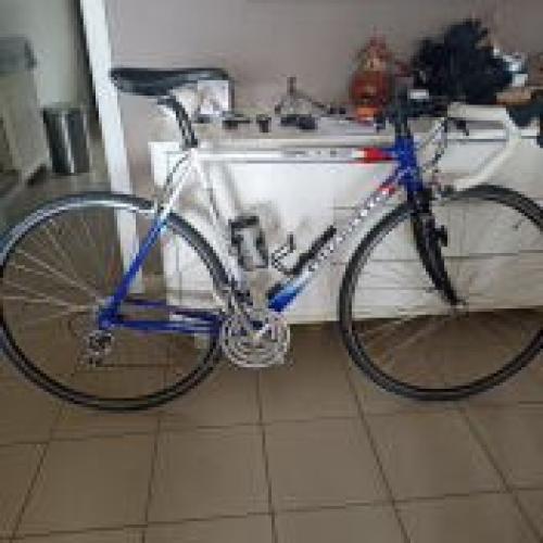 Pinarello Showroomstaat