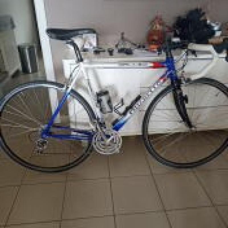 Pinarello Showroomstaat