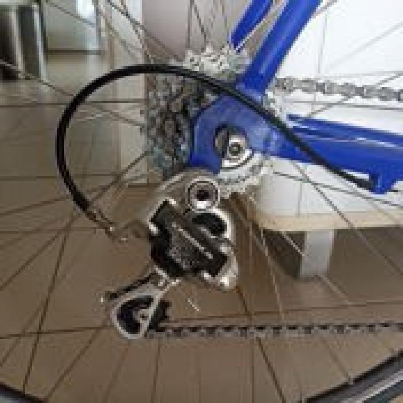 Pinarello Showroomstaat