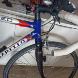Pinarello Showroomstaat