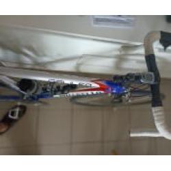 Pinarello Showroomstaat