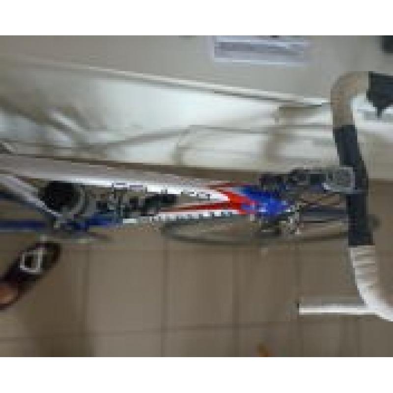 Pinarello Showroomstaat