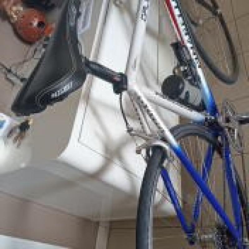 Pinarello Showroomstaat