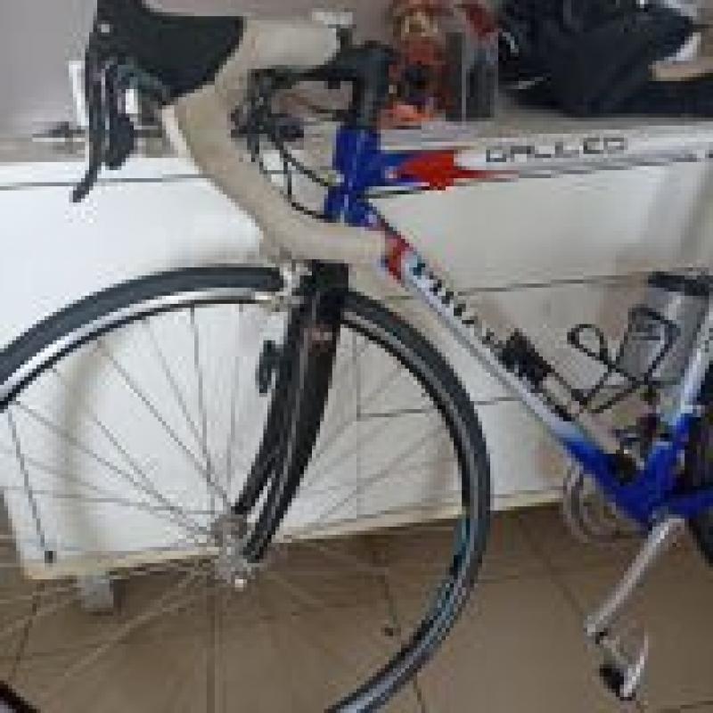 Pinarello Showroomstaat