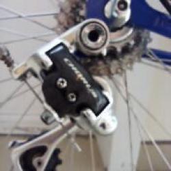 Pinarello Showroomstaat
