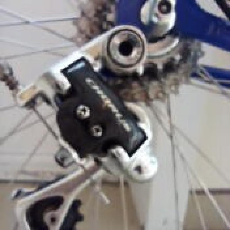 Pinarello Showroomstaat