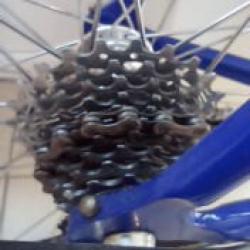 Pinarello Showroomstaat