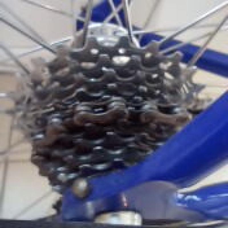 Pinarello Showroomstaat