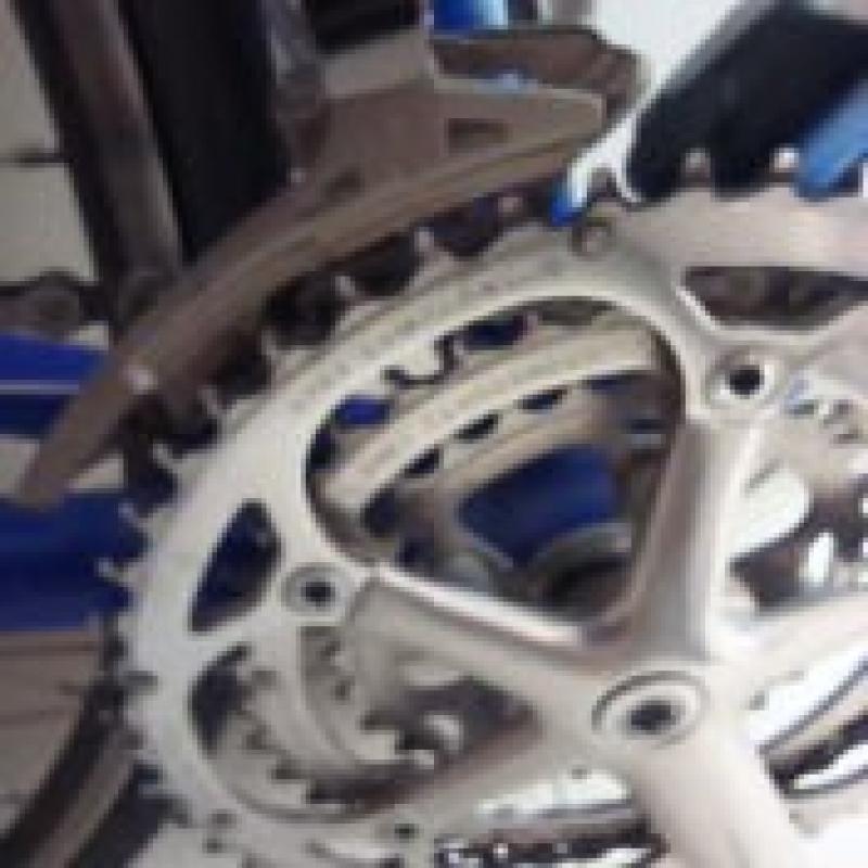 Pinarello Showroomstaat