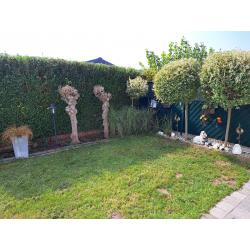 vakantiewoning
