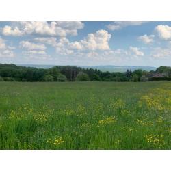 PALENGE- Durbuy: bouwgrond 11a 16ca – VAS1294B