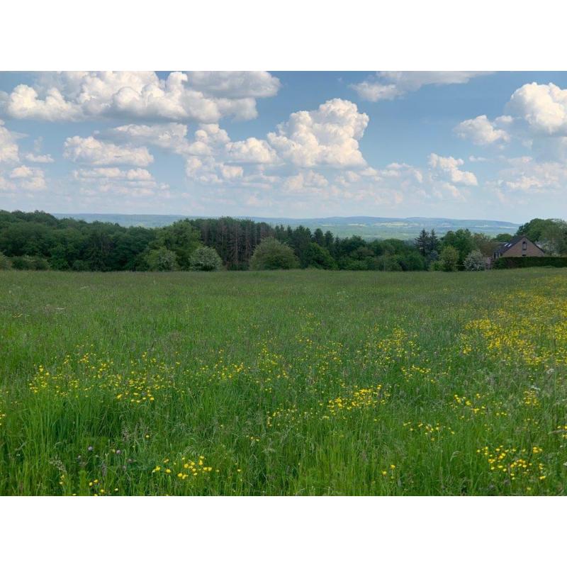 PALENGE- Durbuy: bouwgrond 11a 16ca – VAS1294B