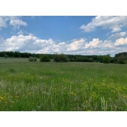 PALENGE- Durbuy: bouwgrond 11a 16ca – VAS1294B