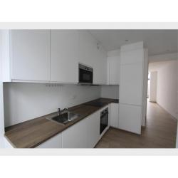 Huis te huur (2 slpks) met rustige koer