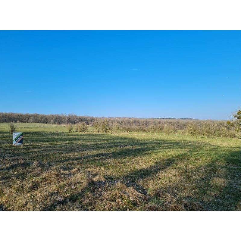 PALENGE- Durbuy: bouwgrond 11a 16ca – VAS1294B