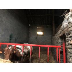 JODENVILLE (Vaux-sur-Sûre): landelijk gebouw op 11a51ca – VVSS002