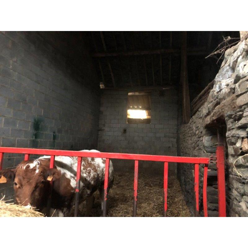 JODENVILLE (Vaux-sur-Sûre): landelijk gebouw op 11a51ca – VVSS002