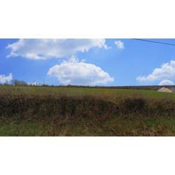 BEAUWELZ (Momignies – Chimay): bouwgrond van 10a 75ca – VAS1445