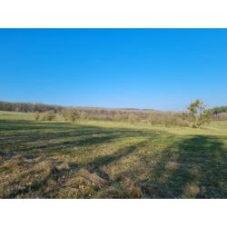 PALENGE- Durbuy: bouwgrond 11a 16ca – VAS1294B
