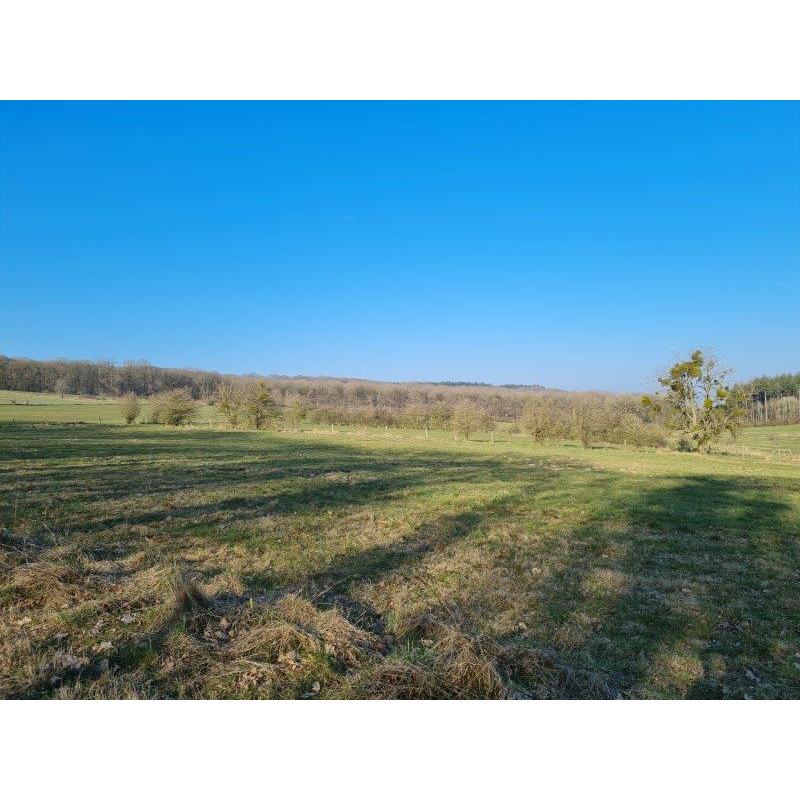 PALENGE- Durbuy: bouwgrond 11a 16ca – VAS1294B