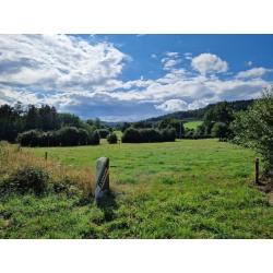 DOHAN, REGIO SEMOIS: grond van 39a 79ca – VAS1454