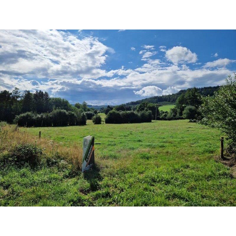 DOHAN, REGIO SEMOIS: grond van 39a 79ca – VAS1454