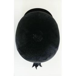 Paardencap/Helm/Tok