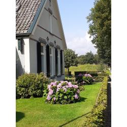 Vakantiewoning op de Veluwe