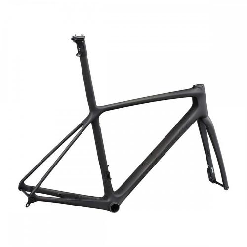2022 Giant TCR Advanced SL Disc Frameset (GUN2BIKESHOP)