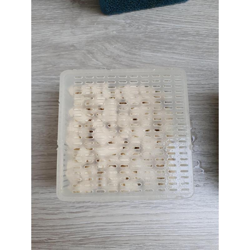 Aquarium JUWEL NIEUW - staat
