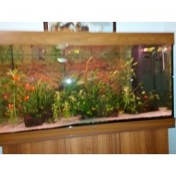 Juwel aquarium 350 l met meubel