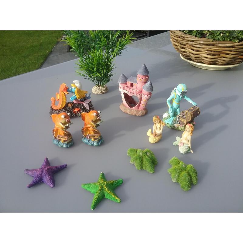 Aquarium voor starters 45l