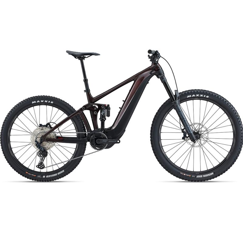 2023 Giant REIGN E  2 Mountain Bike (DREAMBIKESHOP)