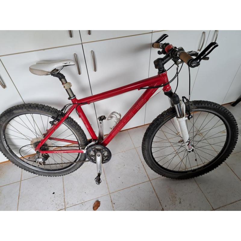 damesmountenbike merk b-one