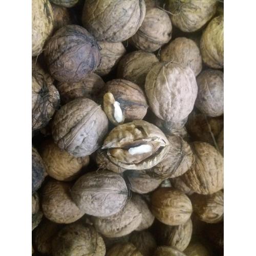 okkernoten prijs per kilo