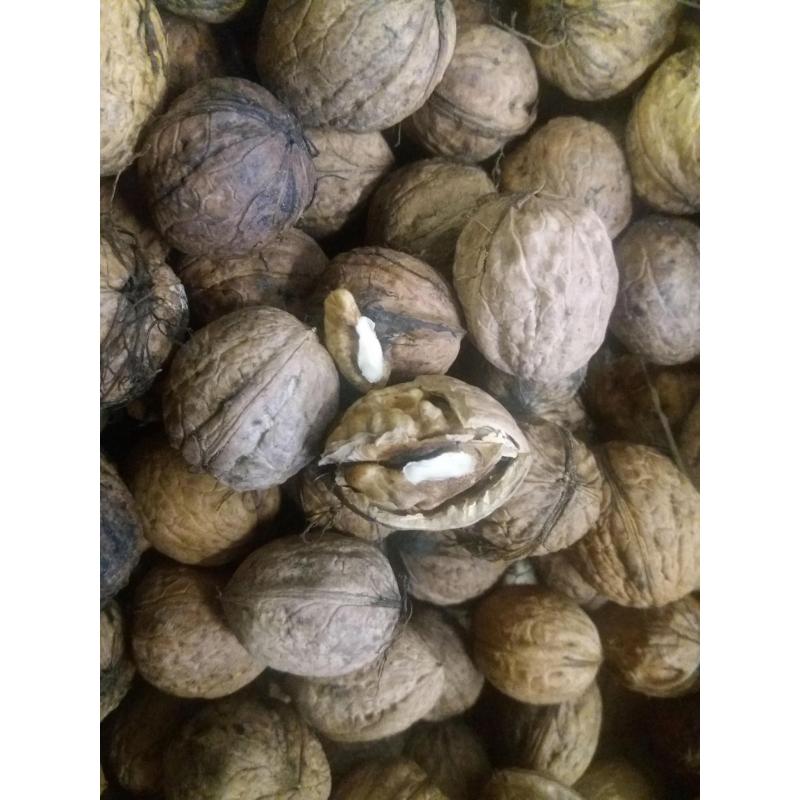 okkernoten prijs per kilo