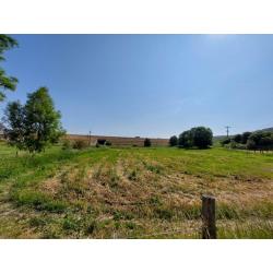 LAVAUX-STE-ANNE : grote grond van 42a 53ca – VAS1449