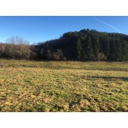 HOMPRE (Vaux-sur-Sûre) : bouwgrond – VAS1361B