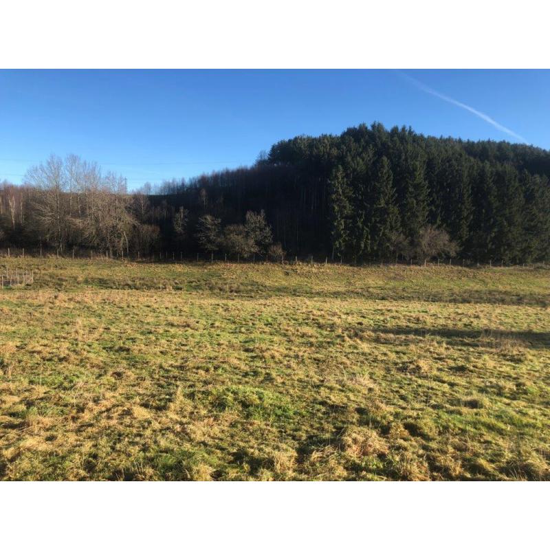 HOMPRE (Vaux-sur-Sûre) : bouwgrond – VAS1361B