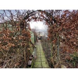 BERTRIX : Ruim karaktervol huis, 2 garages, tuin – VAS1474