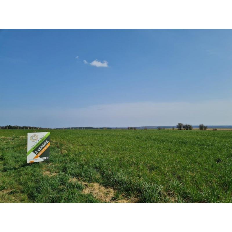 HAUT-FAYS (Daverdisse): Bouwgrond, 10a01ca – VAS1323B