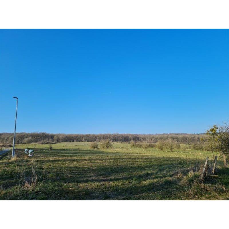 PALENGE- Durbuy: bouwgrond 11a 16ca – VAS1294B