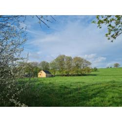 LORCY (Saint-Hubert): Grote en mooie bouwgrond (1ha7a69ca) – VAS1430