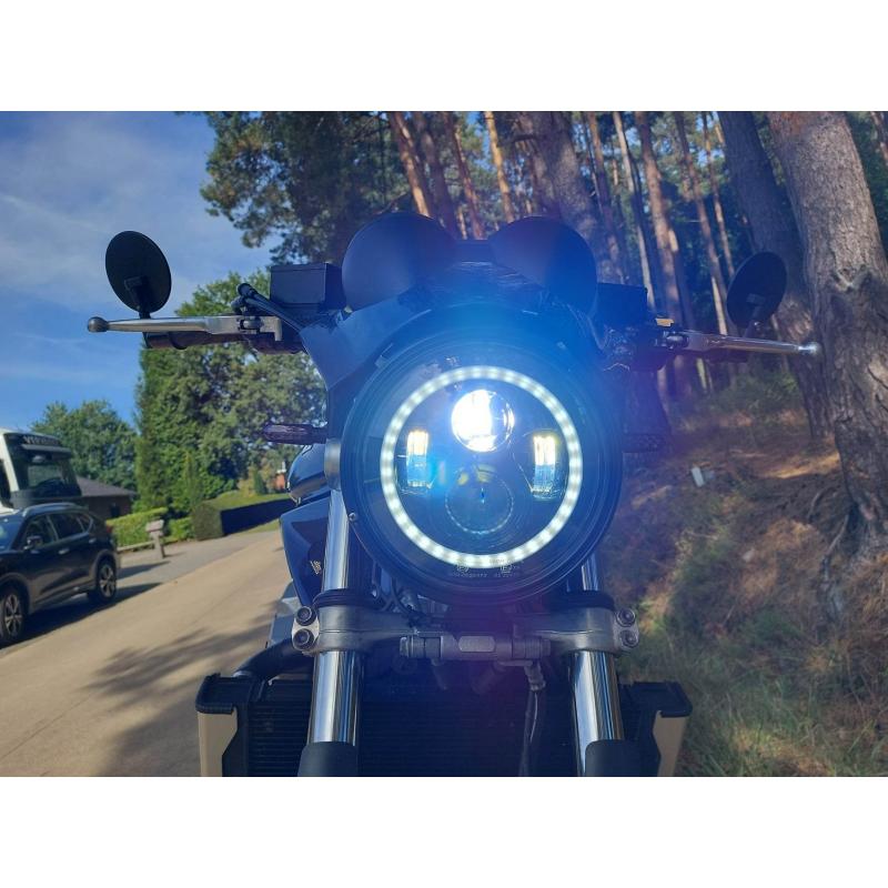 Bandit 1250