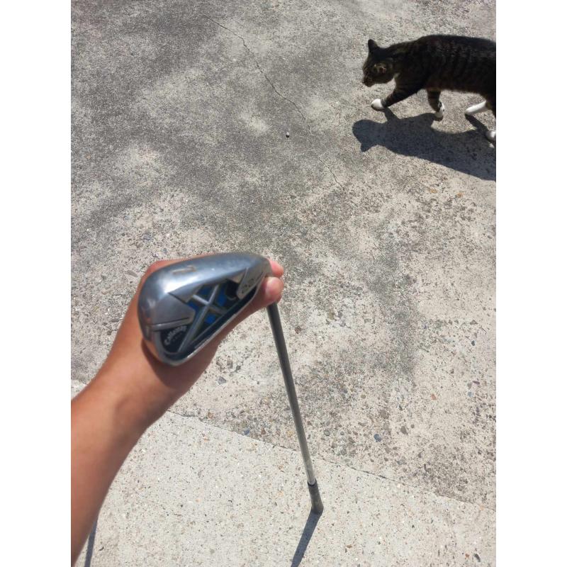 Callaway Golfset (inclusief golfballen 20tal (zonder koker) )